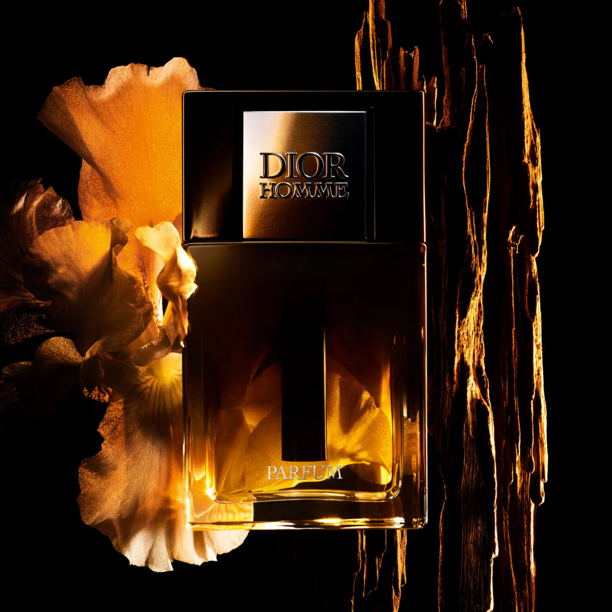 Dior Homme Parfum - Perfume Planet