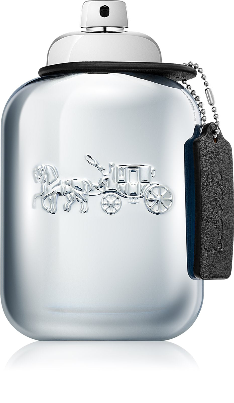 Coach Platinum EDP for Men - Perfume Planet