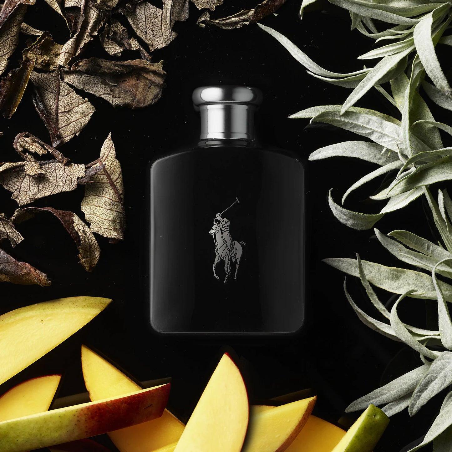 Polo Black Eau de Toilette for Men - Perfume Planet