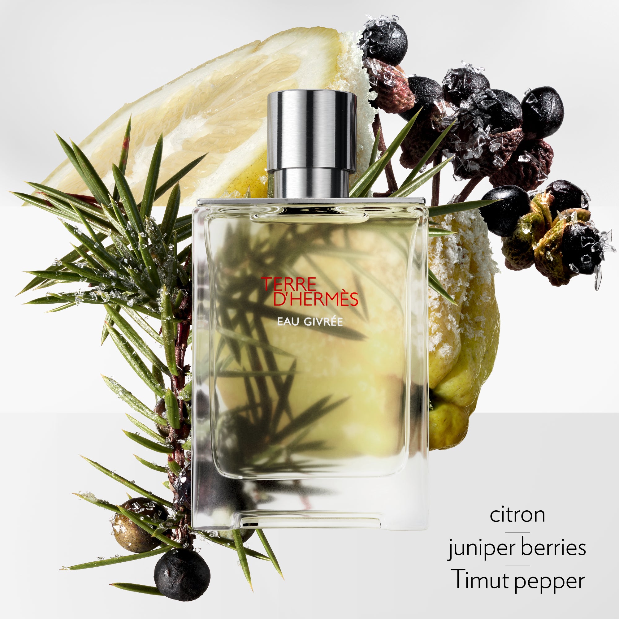 香水(男性用) HERMES TERRE D'HERMES EAU GIVREE 50ml Terre d´Hermès Eau Givrée EDP for Men – Perfume Planet