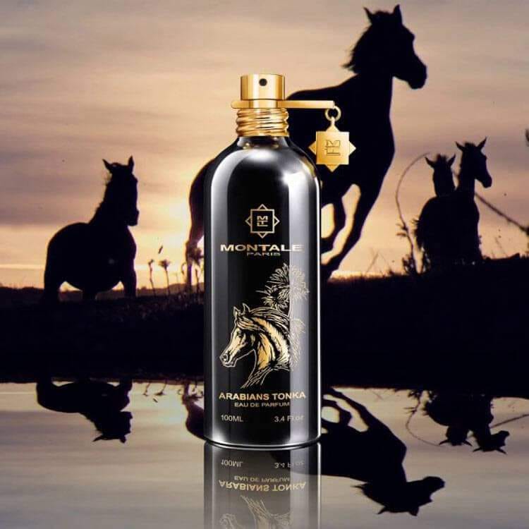 Arabians Tonka by Montale EDP for unisex - Perfume Planet 