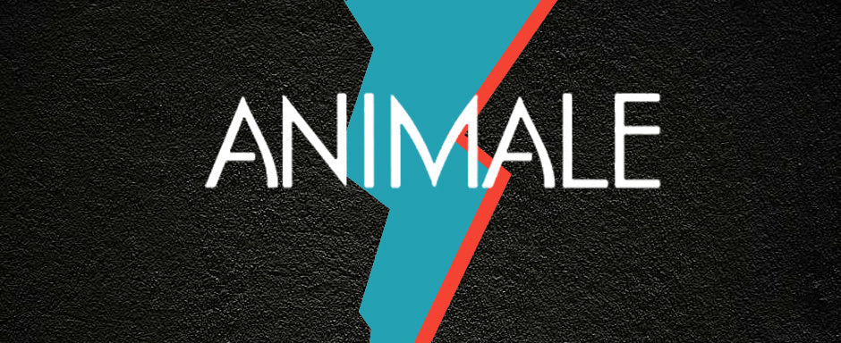 Animale for Men Eau de Toilette - Perfume Planet 