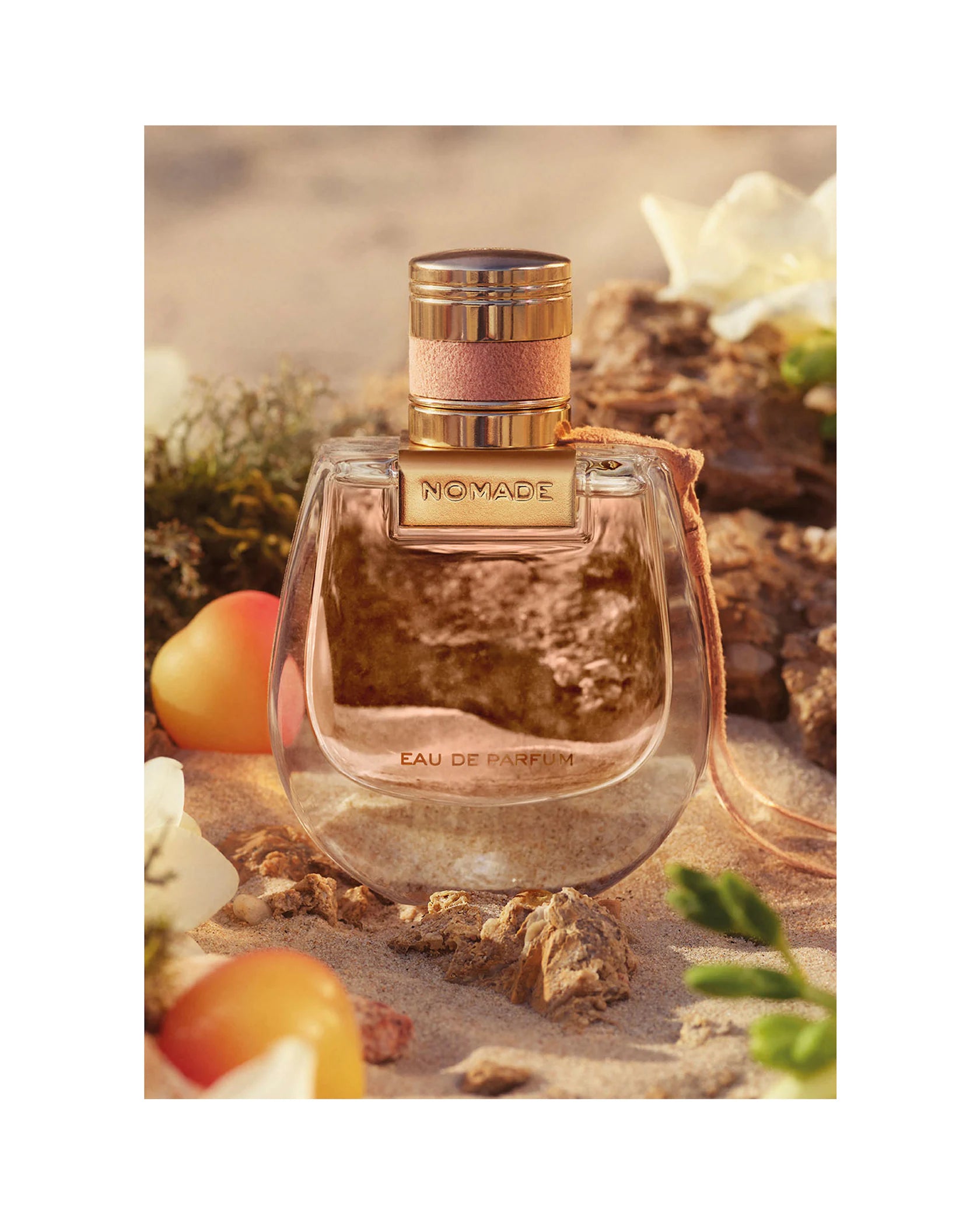 Momade Eau de Parfum for women - Perfume Planet 